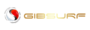 GibSurf Expert en cybersécurité - Martinique - Guadeloupe - Guyane